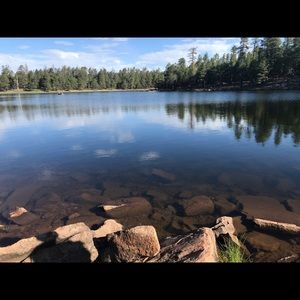 Meet your Posher, Carson